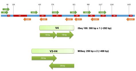 16s Rrna Sequencing Pdf - CurtisabbAnderson