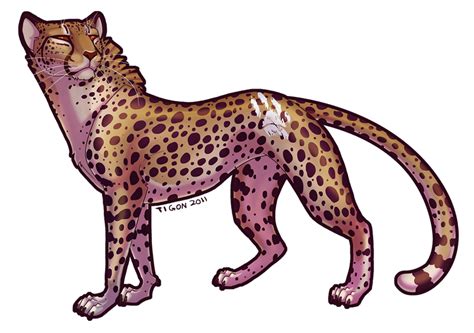 Cheetah Fan Art: Cheetah | Animal illustration art, Big cats art, Canine art