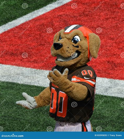 Cleveland Browns Mascot : Cleveland Browns To Unveil Live Bulldog ...