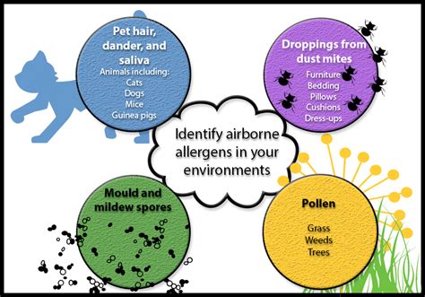 Reduce airborne allergy triggers | Inclusive Education