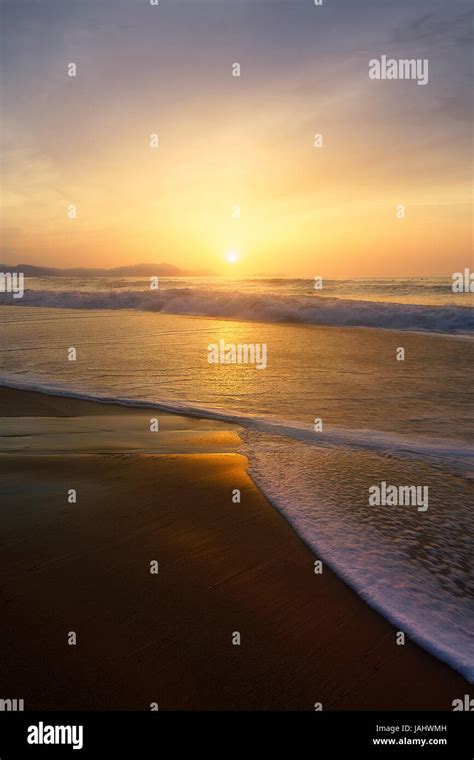 beach shore at the sunset Stock Photo - Alamy