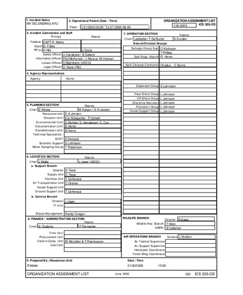 FREE 6+ Sample Incident Action Plan Templates in PDF | MS Word