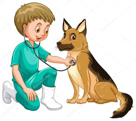 Vet examining dog with stethoscope — Stock Vector © interactimages ...