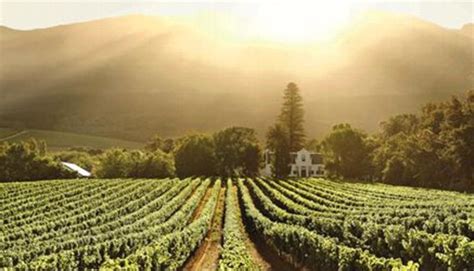 Buitenverwachting Wine Estate in Cape Town