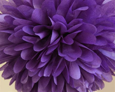 Purple Tissue Paper Pom Purple Pom Purple Tissue Paper Pom