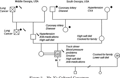 Figure 1 from Cultural genogram: A tool for teaching and practice ...