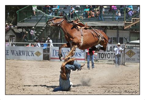 Pin by Jenny Brackin on Home town Warwick Qld | Cool countries, Rodeo time, Warwick qld