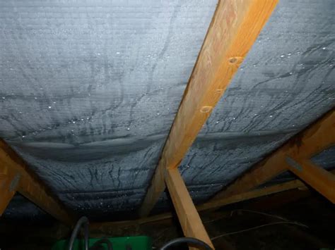 condensation in loft | DIYnot Forums