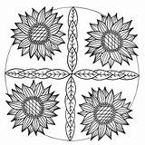 Mandala Inspired Sunflower Adult Coloring Page  FaveCraftscom sketch template