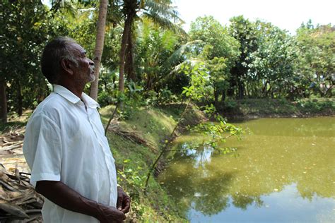 Tamil Nadu farmers fight drought with organic farming | India | Al Jazeera