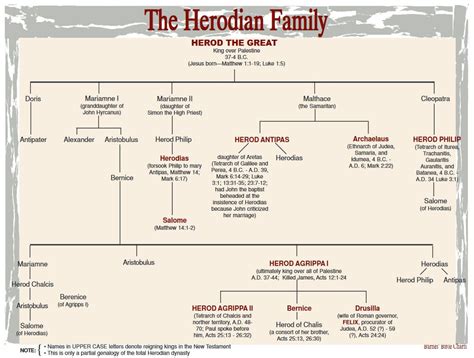 Herod The Great S Family Tree Bible Family Tree Bible Facts Bible Study ...