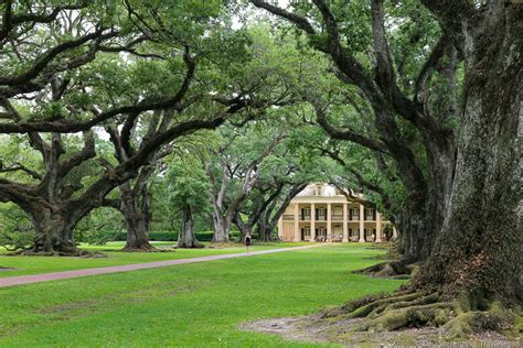 3 Unforgettable New Orleans Plantations to Visit Along the Great River Road — Travlinmad Slow ...