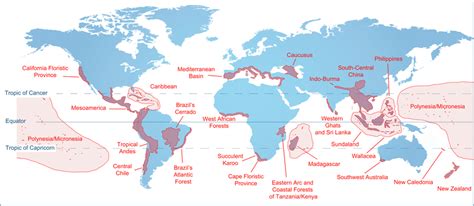 Map of the world showing areas of exceptional biodiversity 'hotspots'... | Download Scientific ...