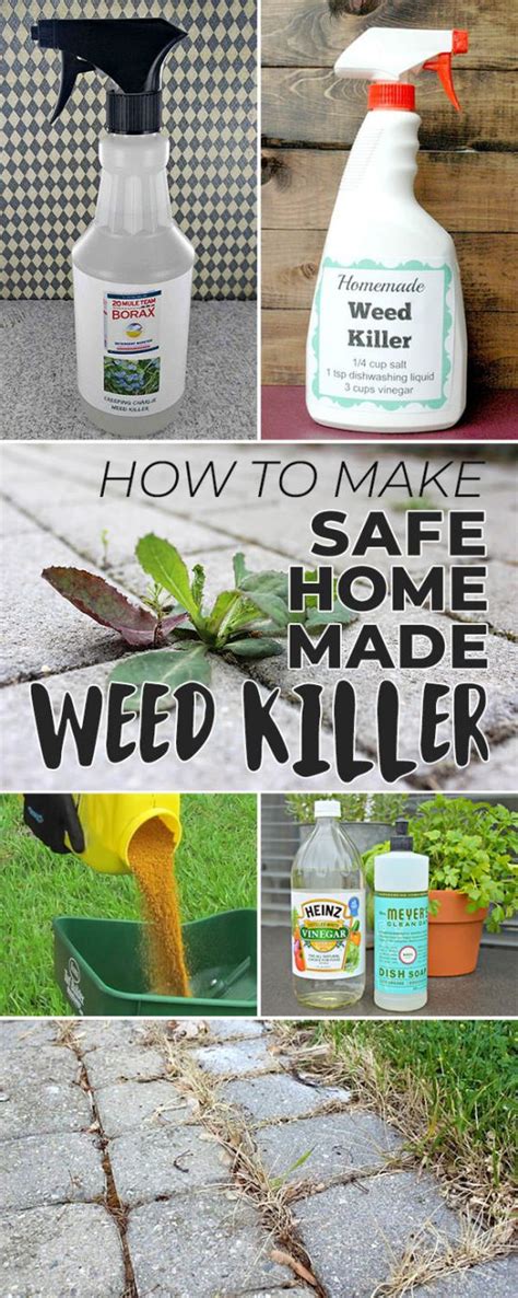 How to Make Natural & Safe Homemade Weed Killer • The Garden Glove