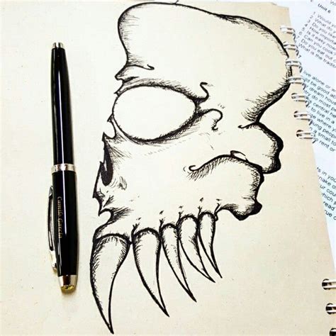 Skull profile