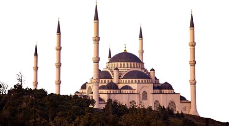 Download Mosque, Turkey, Sultan Ahmed. Royalty-Free Stock Illustration ...