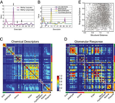 Correlation between odor response and odor structure. (A) Odor ...