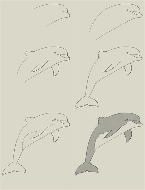 Free Dolphin Drawin Easy, Download Free Dolphin Drawin Easy png images ...