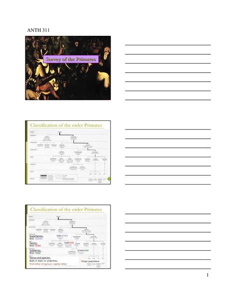 Survey of the Primates Classification of the order Primates