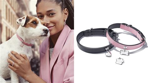 Pandora Now Has Pet Accessories For Your Furkids — Charms For Humans ...