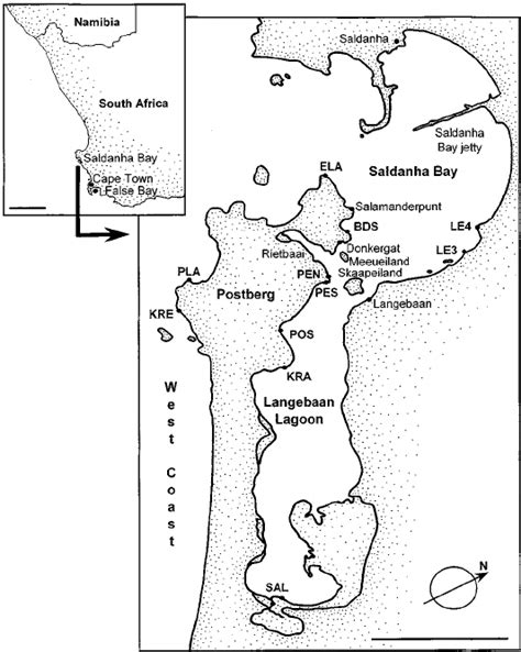 Map of the Saldanha Bay/Langebaan Lagoon ecosystem with indication of ...