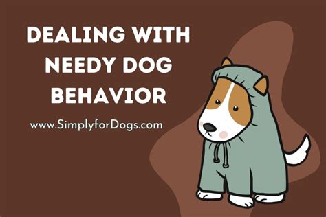 Dealing with Needy Dog Behavior (Facts to Know) - Simply For Dogs