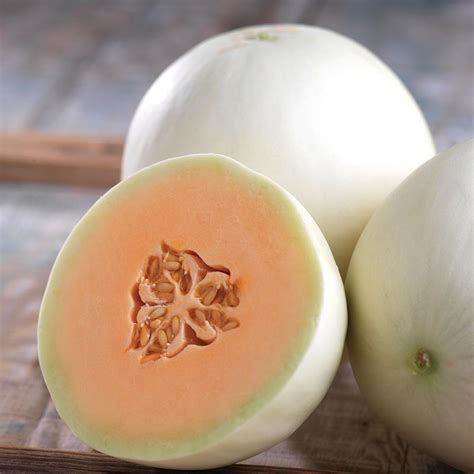 10 Cantaloupe And Melon Varieties You Need To Know - Growing Produce