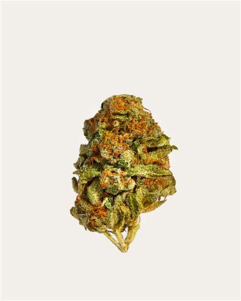 SHINYBUD • Carefully Curated Cannabis