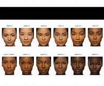 American Indian Skin Color - Bing images | African american makeup ...