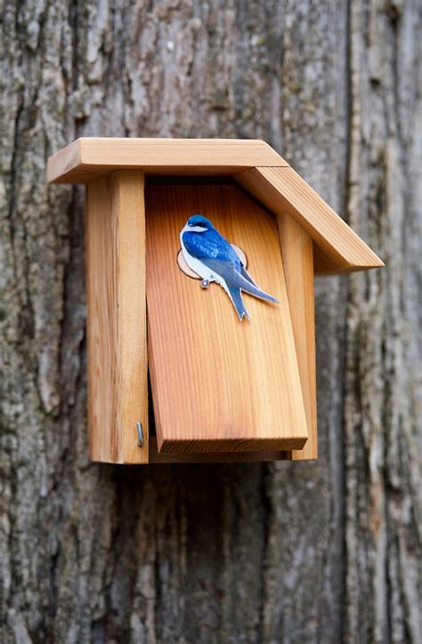 Tree Swallow Cedar bird house | Etsy