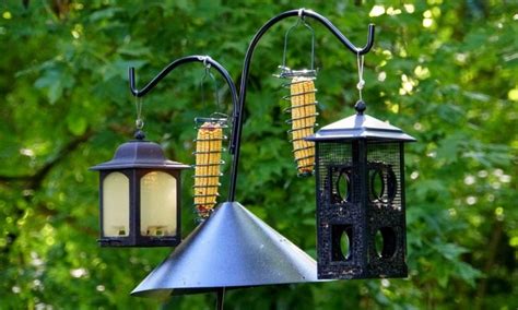 10 Best Bird Feeder Poles Reviewed and Rated in 2024