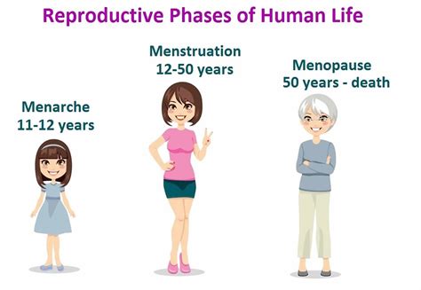 Menarche signs, symptoms, age of onset, what is normal and abnormal