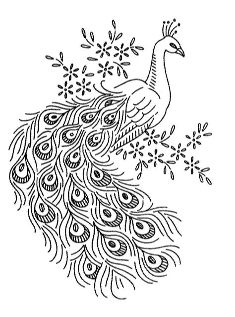 Peacock Drawing Outline at PaintingValley.com | Explore collection of Peacock Drawing Outline