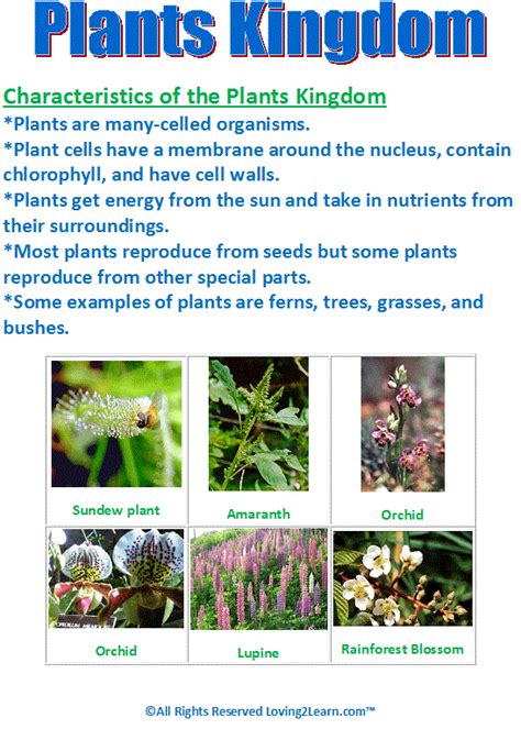 Plants Kingdom Chart www.loving2learn.com | Plants, Plant lessons, Life science