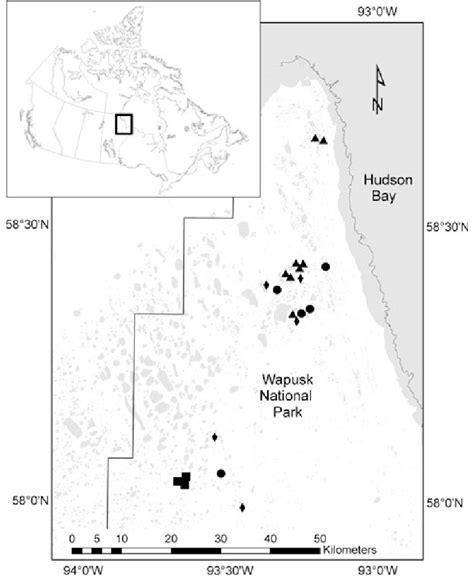 Map of Wapusk National Park showing the location of the study sites... | Download Scientific Diagram