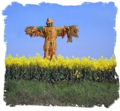 Buzzing Bee: The Scarecrow