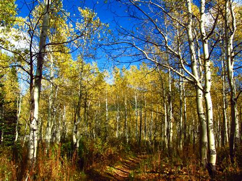 My Photography: Alpine Loop, American Fork Canyon, Utah