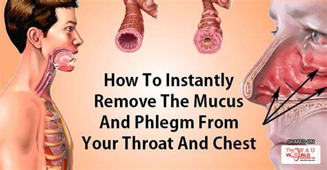 How to remove mucus and phlegm from your throat and chest instantly | Blog | Health | WAU