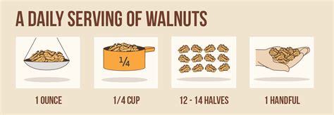 Nutrition Information - California Walnuts