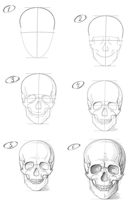 Skulls drawing – Artofit