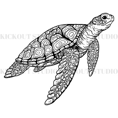 Turtle Svg Bundle Turtle Cut File Turtle Outline Turtle - Etsy