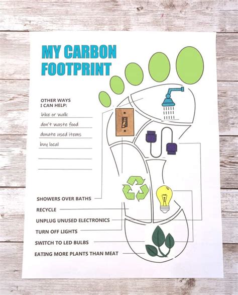 Carbon Footprint Calculator Worksheet - Worksheets For Kindergarten