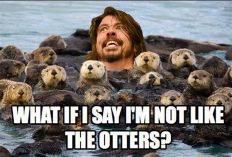 Your favourite rock and metal memes of the year | Otters, Funny captions, Otter meme