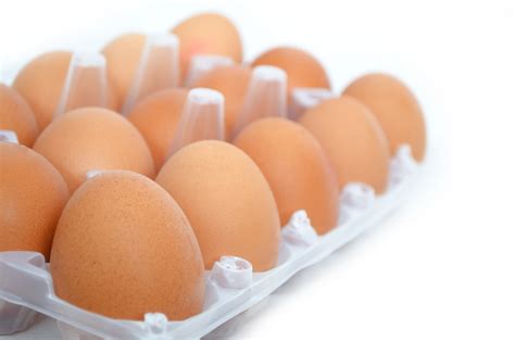 Eggs Free Stock Photo - Public Domain Pictures