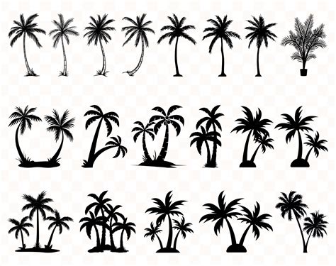 Palm Trees Bundle Svg Palms Svg Palm Tree Svg Svg File For Cutting | The Best Porn Website