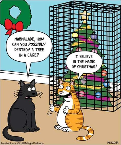 These Holiday Cat Memes Will Get You In The Christmas Spirit - Cole ...