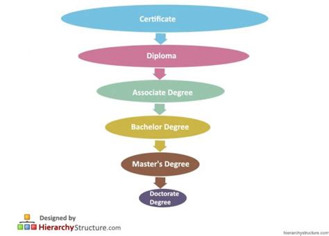 Education Degree Hierarchy Chart | Hierarchystructure.com