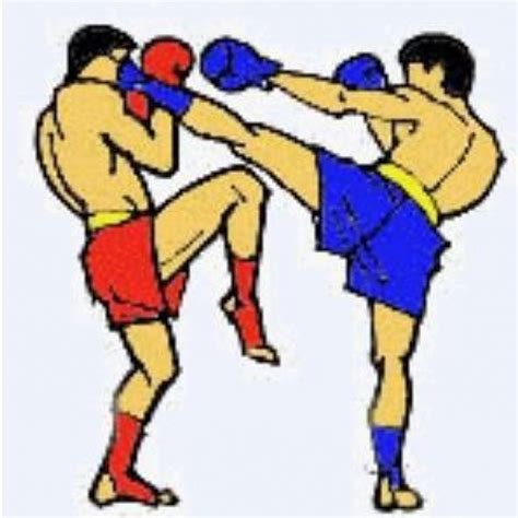 Boxing clipart kick boxing, Boxing kick boxing Transparent FREE for download on WebStockReview 2024