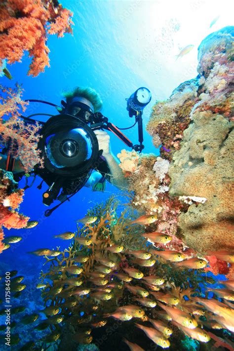 Underwater Photographer explores coral reef Stock Photo | Adobe Stock