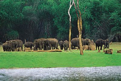 Nambor Wildlife Sanctuary | Nambor Wildlife Sanctuary Assam | Wildlife Sanctuaries in Assam ...